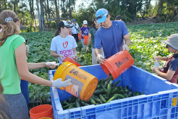gleaning-group